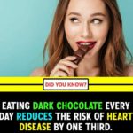 Dark Chocolate Reduce Heart Disease: Food Fact