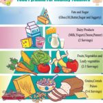 Food Pyramid For Healthy Toddlers