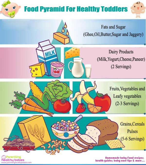Food Pyramid for Healthy Toddlers