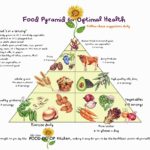 Food Pyramid for Optimal Health