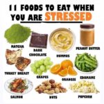Foods to Eat when you are STRESSED
