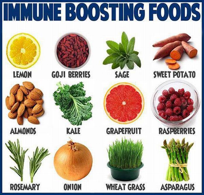 Vitality Boost: Immune-Friendly Nutrients