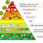 Kids Food Pyramid – Food Pyramid