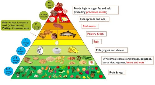 Food Pyramid - Collection Of Food Pyramids From All Over The World