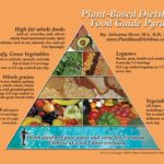 Plant-Based Dietitian’s Food Guide Pyramid