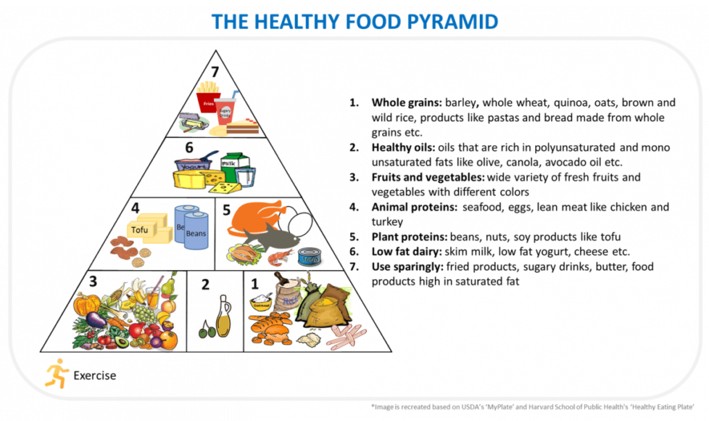 December – 2020 – Food Pyramid