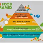 Toddlers Food Pyramid