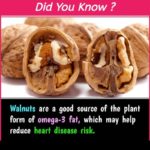Walnuts Good Source of Omega-3 Fat: Health Tips