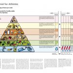 Athletes Food Pyramid
