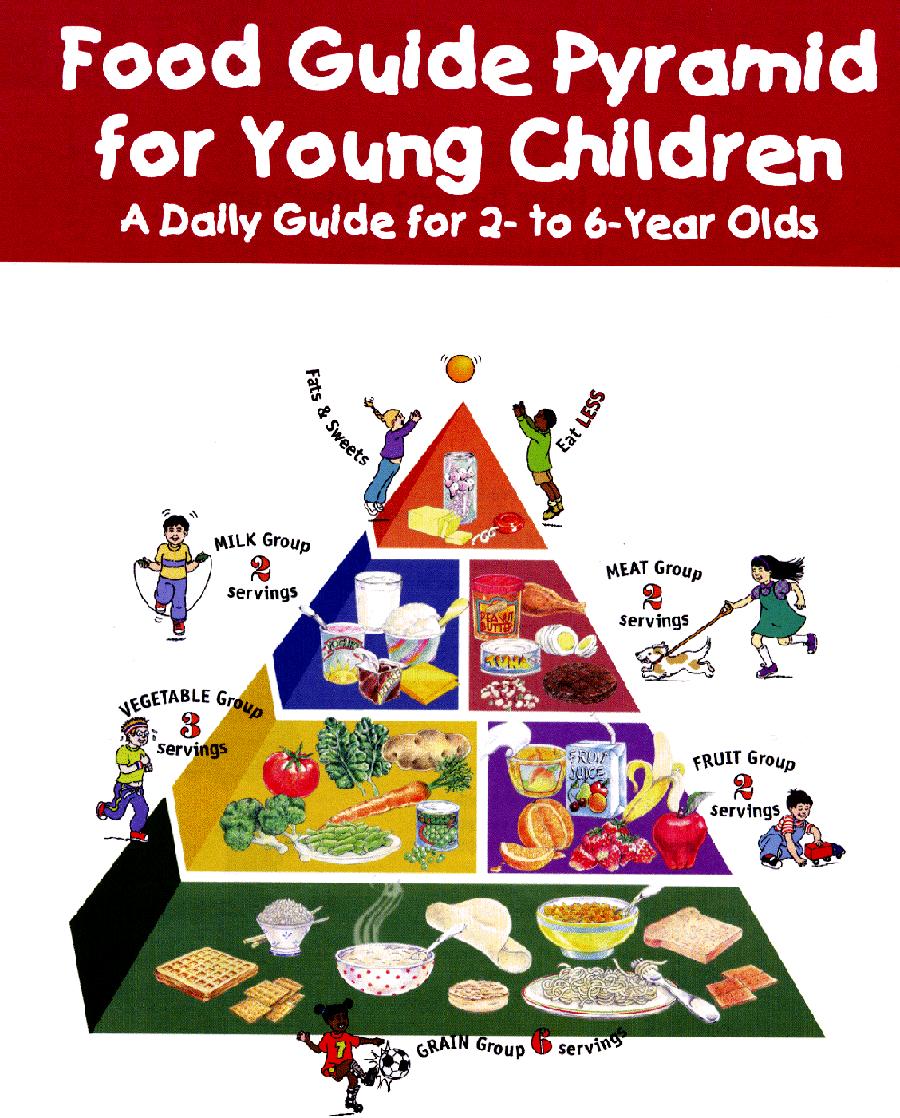 Baby Food Pyramid