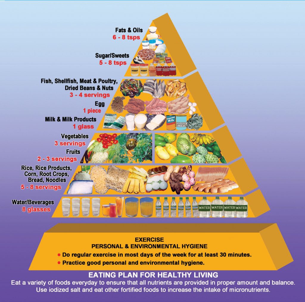 Updated Food Pyramid 2021