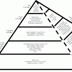 Free Food Guide Pyramid
