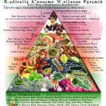 Food Pyramid 2012