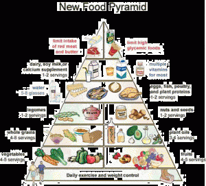 Food Pyramid 2014