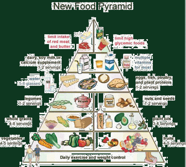 Food Pyramid 2014
