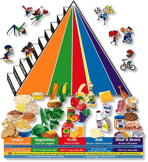 Food Pyramid for Kid