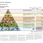 Healthy Food Pyramid