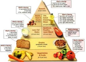 High_Protein_Food_Pyramid