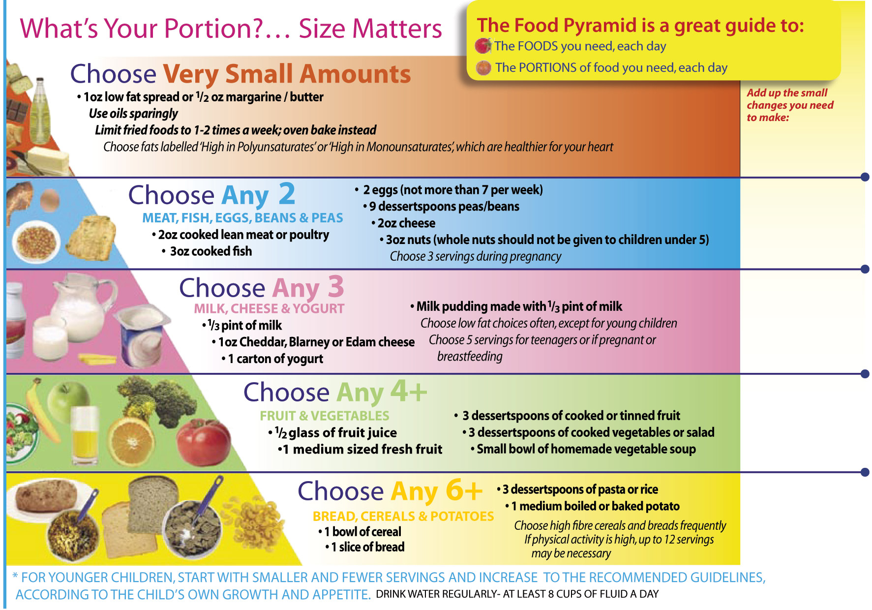 Indian Food Pyramid Food Pyramid