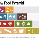 Free New Food Pyramid