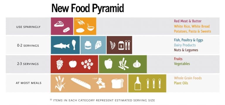 Food Pyramid - Collection of Food Pyramids from all over the world