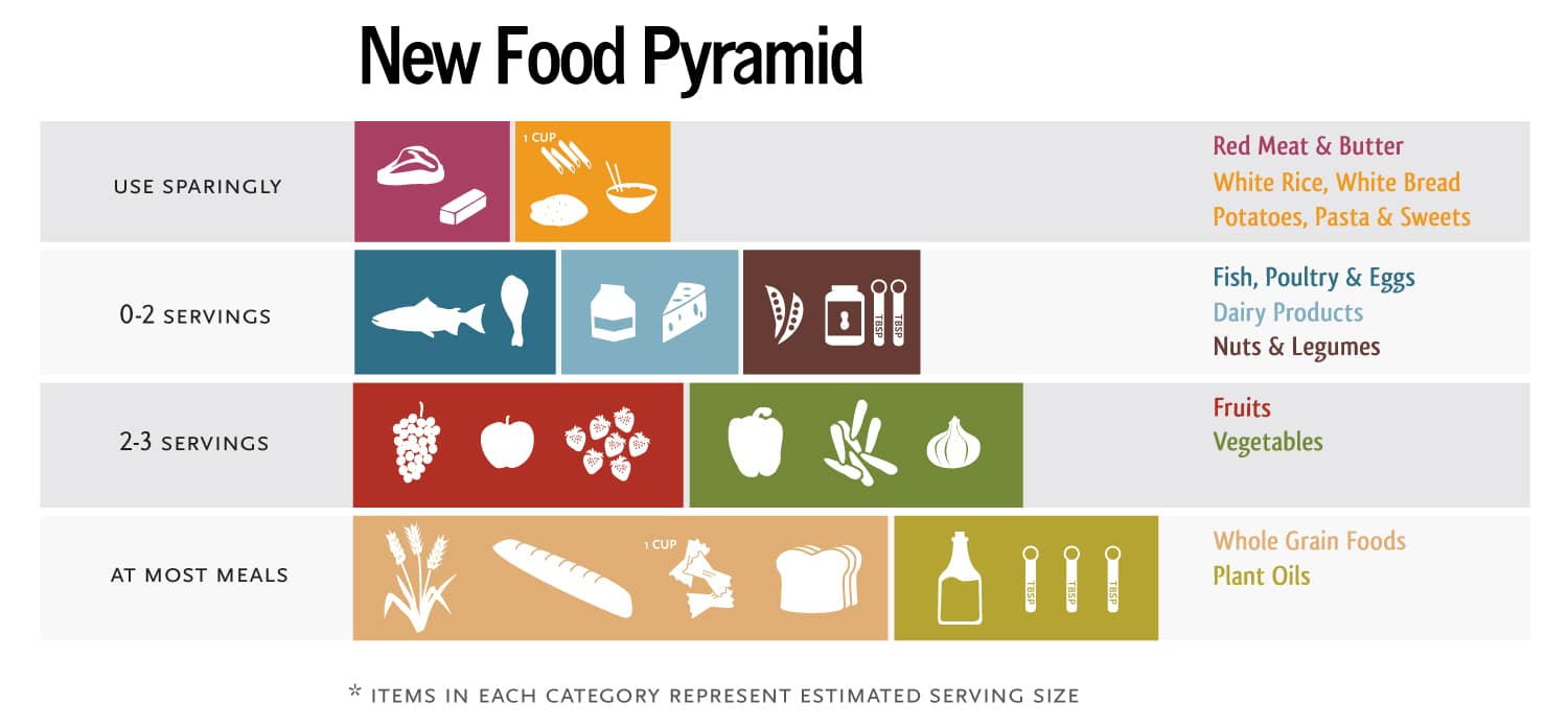 Updated Food Pyramid 2021