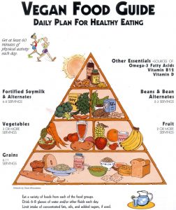 Vegetarian Food Pyramid